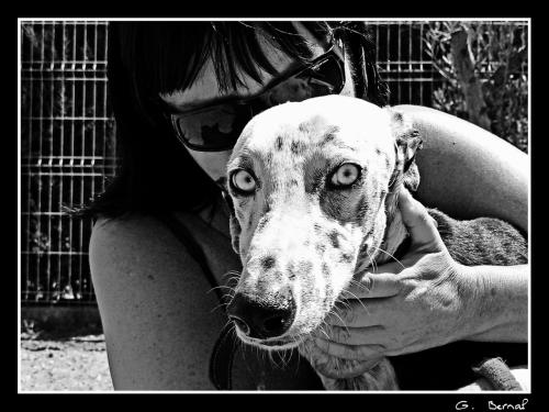 Fotografia de Guillermo Bernal - Galeria Fotografica: Varias - Foto: Darek