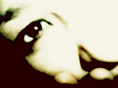 Fotografia de lolha benitez - Galeria Fotografica: ExPreSIonismo Fantastiko - Foto: 