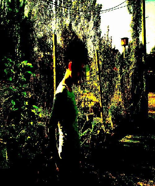 Fotografia de lolha benitez - Galeria Fotografica: ExPreSIonismo Fantastiko - Foto: 