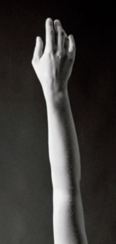 Fotografia de Luis Larrako - Galeria Fotografica: Dices que me quieres...... - Foto: 