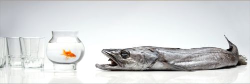 Fotografia de MANUEL SNCHEZ FOTGRAFO - Galeria Fotografica: INDUSTRIAL - Foto: 