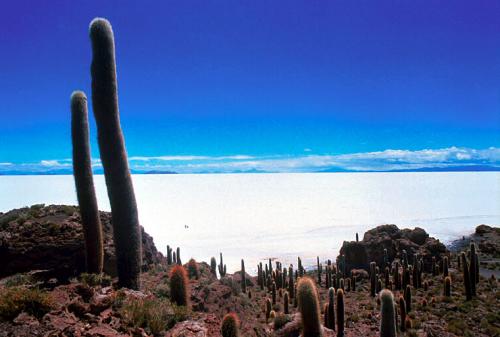 Fotografia de Llibert Teixid - Galeria Fotografica: Salar de Uyuni - Bolivia - Foto: Isla Pescador