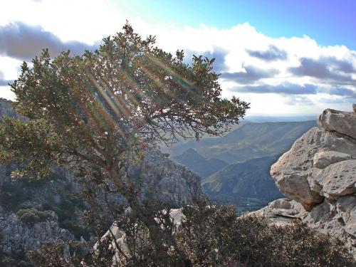 Fotografia de Guillermo Bernal - Galeria Fotografica: Luz y Senderos II - Foto: Entre Ramas
