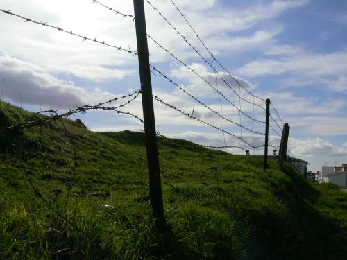Fotografia de Guillermo Bernal - Galeria Fotografica: Luz y Senderos II - Foto: Alambrando el Cielo