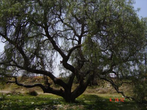 Fotografia de catherine - Galeria Fotografica: mis descanzos - Foto: 