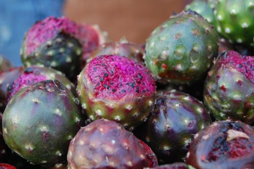 Fotografia de Diana Do de O - Galeria Fotografica: mercado temporal e guaalajara - Foto: temporaa de pitaya