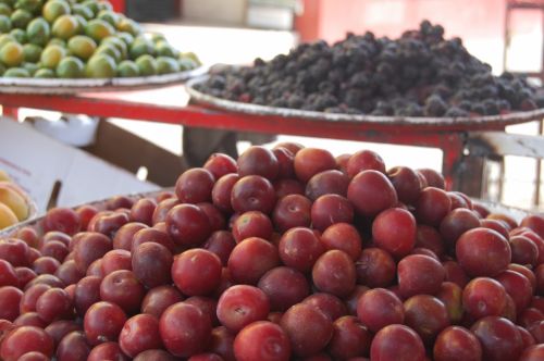 Fotografia de Diana Do de O - Galeria Fotografica: mercado temporal e guaalajara - Foto: ciruela roja