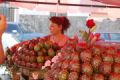 Fotos de Diana Do de O -  Foto: mercado temporal e guaalajara - 