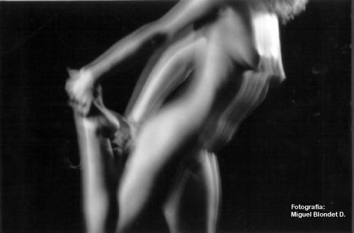 Fotografia de Buscador de Imagenes - Galeria Fotografica: Buscador de Imagenes - Foto: Movilento