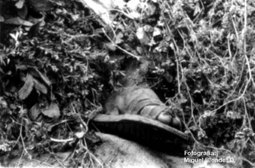 Fotografia de Buscador de Imagenes - Galeria Fotografica: Buscador de imagenes 2 - Foto: Metida de pata