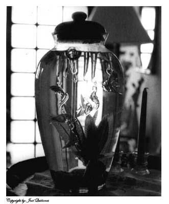 Fotografia de Jose Quiones - Galeria Fotografica: Imagen - Foto: Transparencia