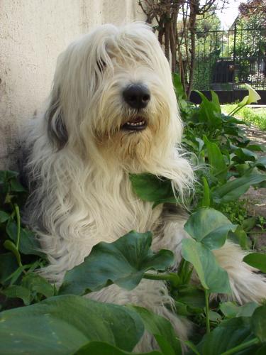 Fotografia de luis palma - Galeria Fotografica: Naturaleza - Foto: sam