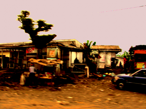 Fotografia de saf79 - Galeria Fotografica: estilo de vida - Foto: estilo de vida