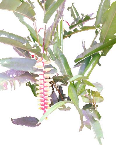 Fotografia de saf79 - Galeria Fotografica: estilo de vida - Foto: colores