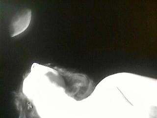 Fotografia de cyrix larson - Galeria Fotografica: DESNUDOS - Foto: MIRANDO LA LUNA...