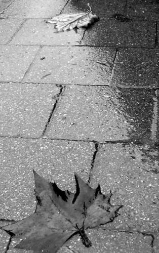 Fotografia de Elia Lpez - Galeria Fotografica: Lugares, etc II - Foto: Sola