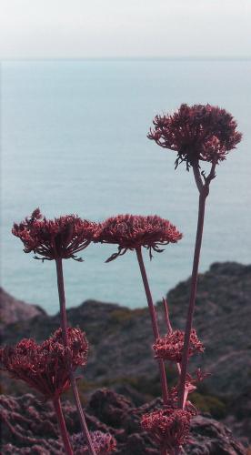 Fotografia de Elia Lpez - Galeria Fotografica: Lugares, etc II - Foto: Creus