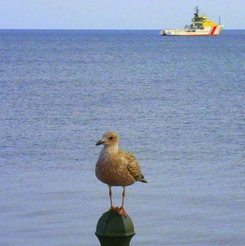 Fotografia de Elia Lpez - Galeria Fotografica: Lugares, etc III - Foto: Equilibrio