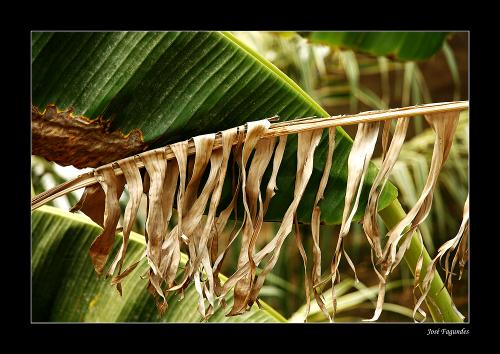 Fotografia de Jos - Galeria Fotografica: EXPRESIONES - Foto: La magia de la luz