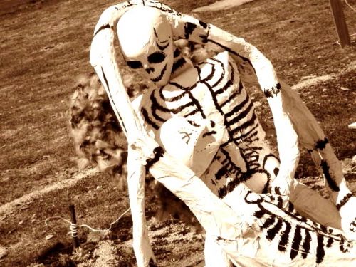 Fotografia de Uziel - Galeria Fotografica: Curiosidades - Foto: 