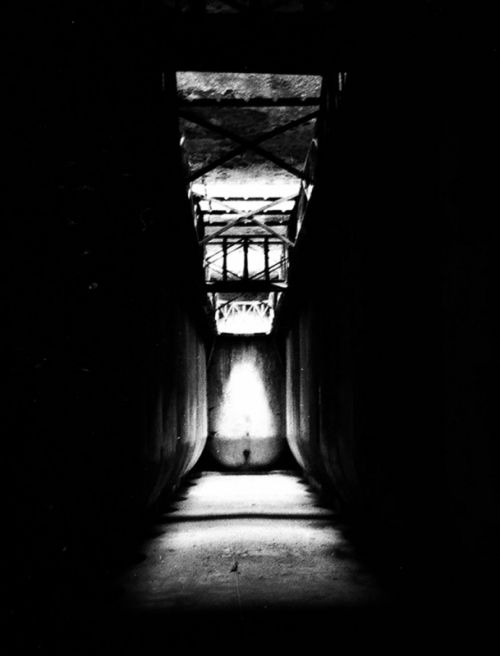 Fotografia de ana - Galeria Fotografica: bodegas - Foto: bodegas2