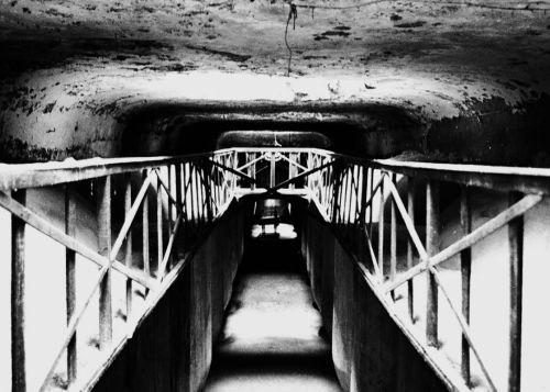 Fotografia de ana - Galeria Fotografica: bodegas - Foto: bodegas4