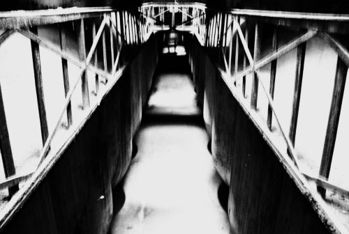 Fotografia de ana - Galeria Fotografica: bodegas - Foto: bodegas 3