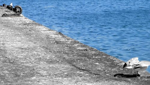 Fotografia de Elia Lpez - Galeria Fotografica: Lugares, etc - Foto: Ces 2009.