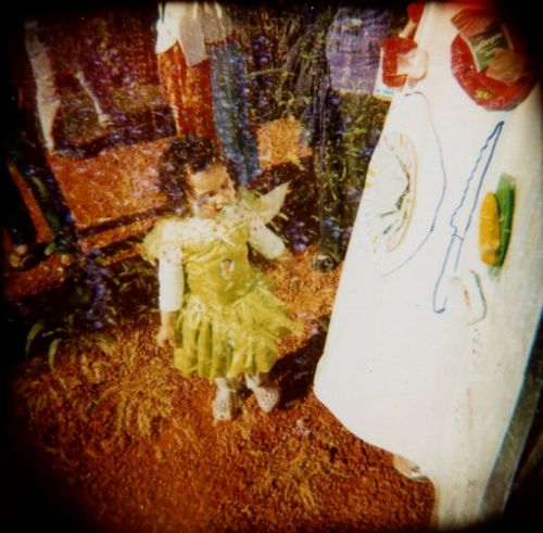 Fotografia de m.eugenia.q - Galeria Fotografica: Holgas - Foto: mariposa