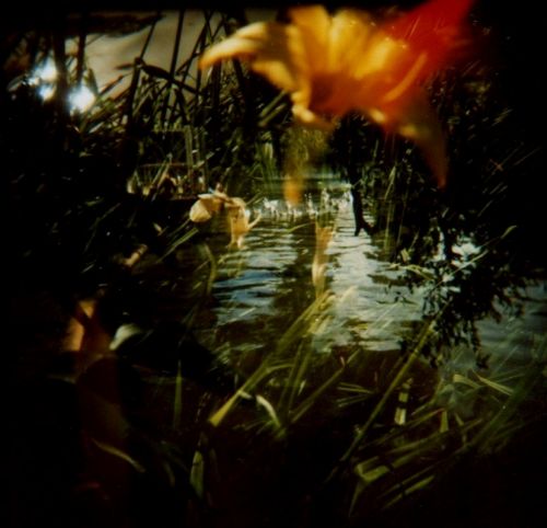 Fotografia de m.eugenia.q - Galeria Fotografica: Holgas - Foto: paisaje con patos