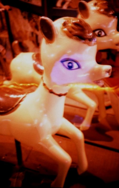 Fotografia de m.eugenia.q - Galeria Fotografica: lomo LC-A - Foto: calesita