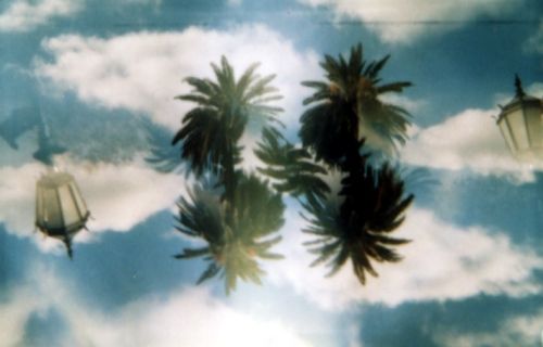 Fotografia de m.eugenia.q - Galeria Fotografica: split - Foto: paisaje con palmeras