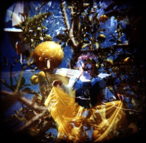 Fotografia de m.eugenia.q - Galeria Fotografica: Holgas - Foto: orange princess