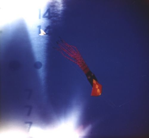 Fotografia de m.eugenia.q - Galeria Fotografica: Holgas - Foto: pulpo