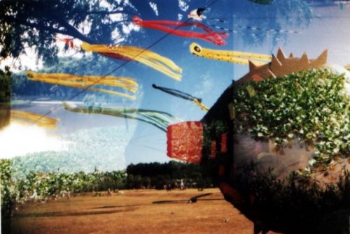 Fotografia de m.eugenia.q - Galeria Fotografica: lomo LC-A - Foto: pulpos