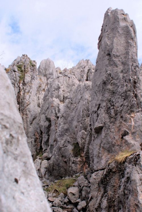 Fotografia de Sancorca - Galeria Fotografica: Paisajes de Asturias - Foto: 