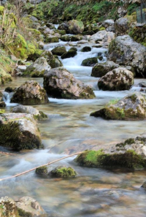 Fotografia de Sancorca - Galeria Fotografica: Paisajes de Asturias - Foto: 