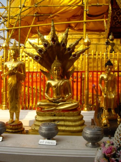 Fotografia de Lorenzo - Galeria Fotografica: Thaylandia - Foto: 