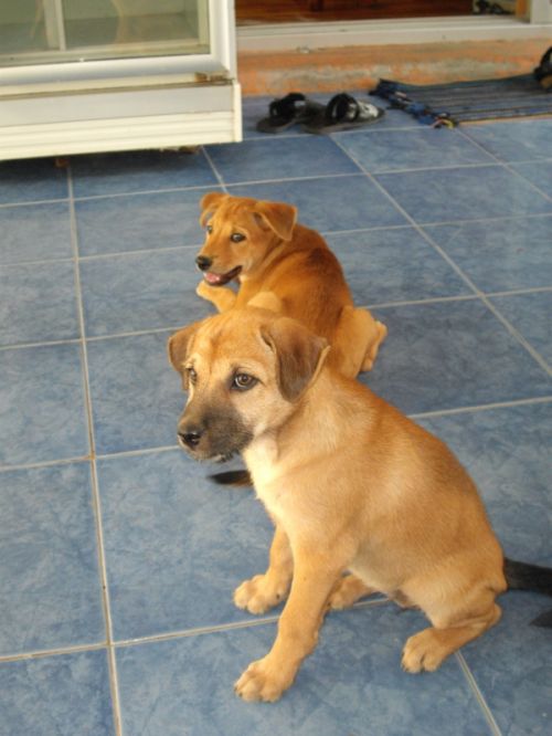 Fotografia de Lorenzo - Galeria Fotografica: Thaylandia - Foto: 