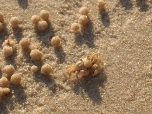 Fotografia de Lorenzo - Galeria Fotografica: Thaylandia - Foto: 