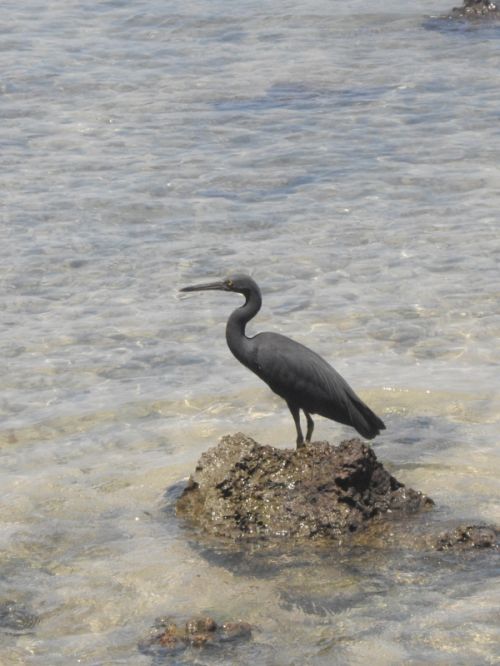 Fotografia de Lorenzo - Galeria Fotografica: Thaylandia - Foto: 