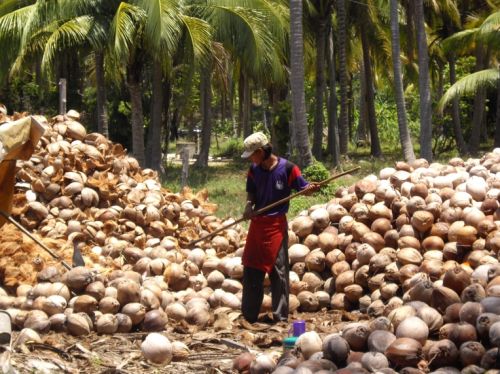 Fotografia de Lorenzo - Galeria Fotografica: Thaylandia - Foto: 