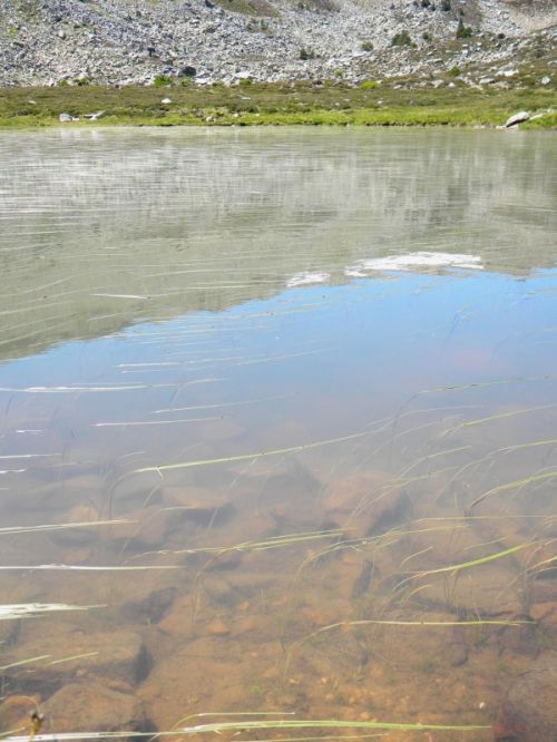 Fotografia de Elia Lpez - Galeria Fotografica: Lugares, etc - Foto: Laguna negra 2010.