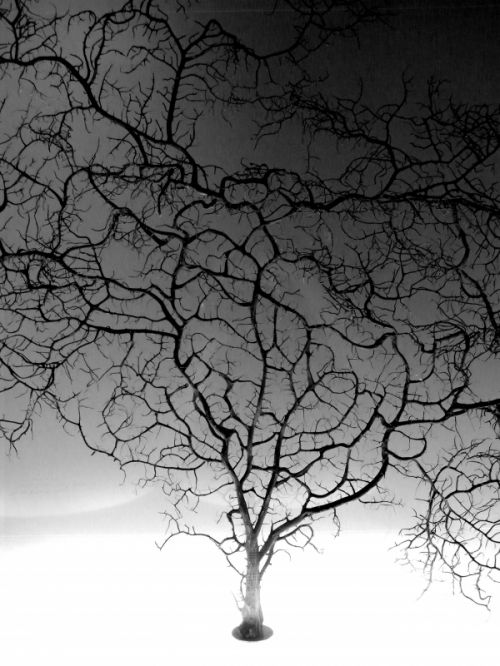 Fotografia de Elia L�pez - Galeria Fotografica: Lugares, etc II - Foto: Barcelona 2010