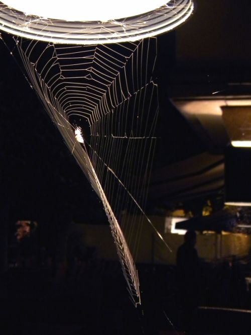 Fotografia de Elia Lpez - Galeria Fotografica: Lugares, etc - Foto: Dusseldorf 2010