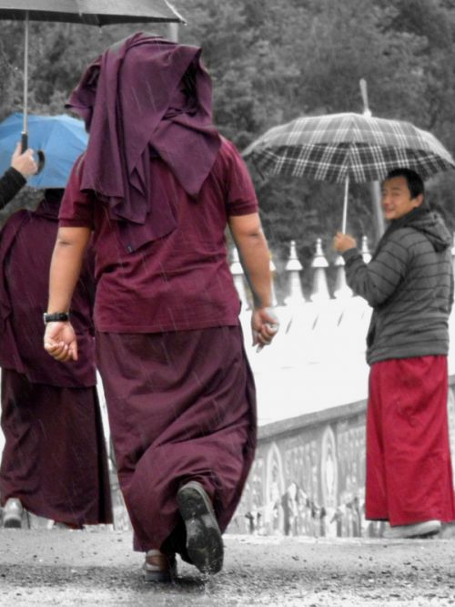 Fotografia de Elia L�pez - Galeria Fotografica: Lugares, etc III - Foto: Panillo. Marzo 2011