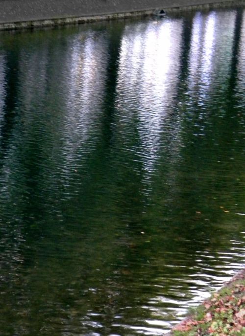 Fotografia de Elia L�pez - Galeria Fotografica: Lugares, etc - Foto: Dusseldorf 2010