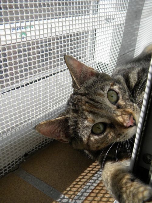 Fotografia de Elia Lpez - Galeria Fotografica: Lugares, etc - Foto: 