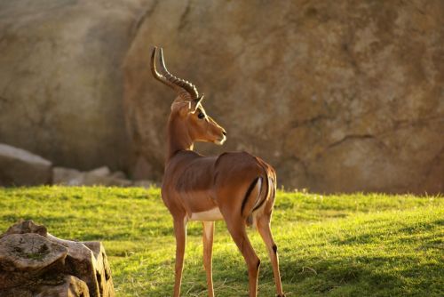 Fotografia de MANUEL SNCHEZ FOTGRAFO - Galeria Fotografica: AUTOR - Foto: 