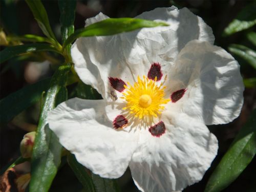 Fotografia de MANUEL SNCHEZ FOTGRAFO - Galeria Fotografica: AUTOR - Foto: 